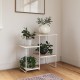 Dante Natural Plant Stand